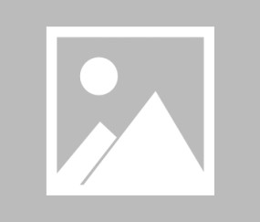 AYX- Rookie迎来十五赛季出色发挥，切尔西观众热烈欢呼！上演精彩一战
